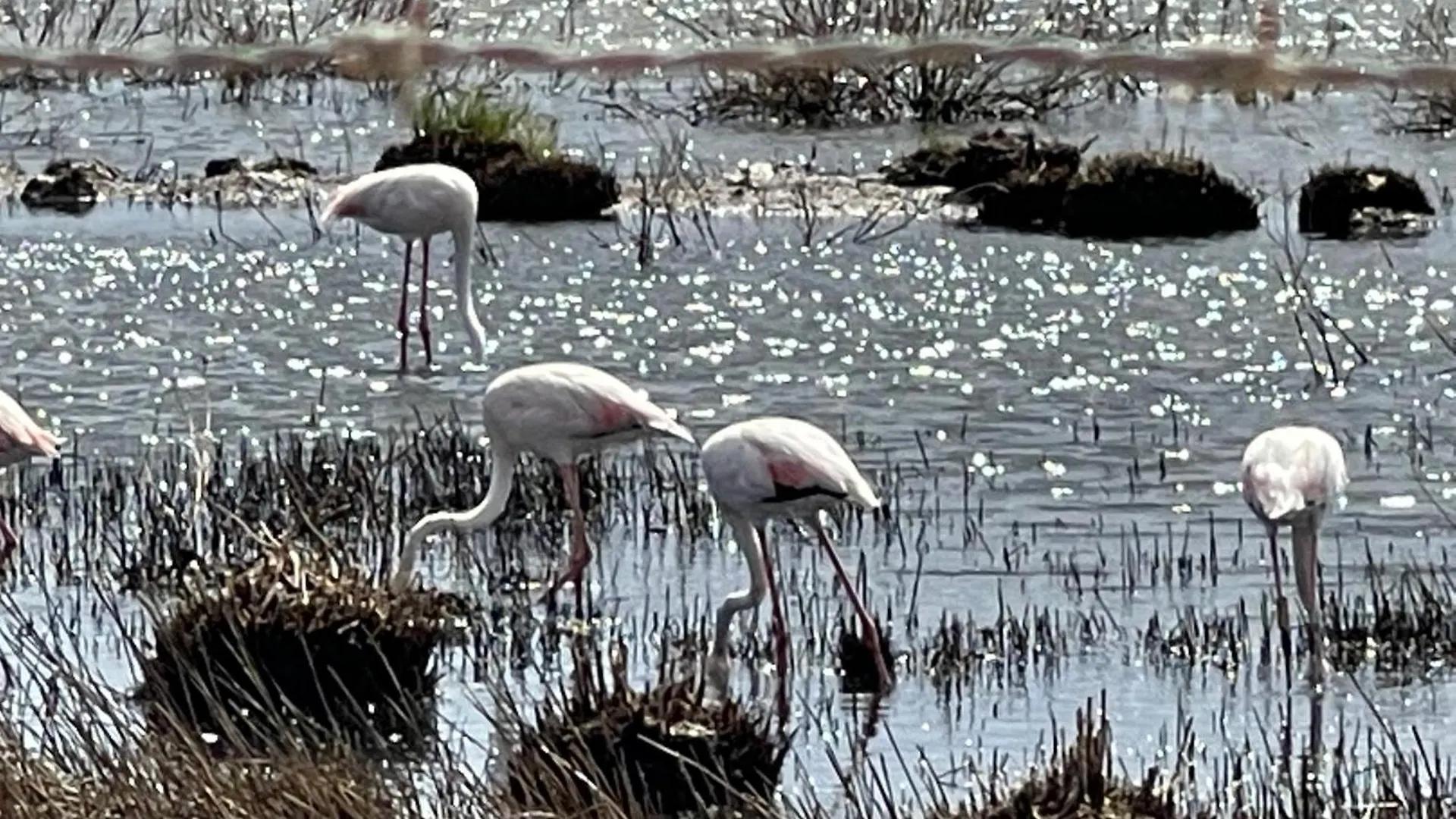 Villa Valentina Alvor